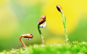 Những bài học sâu sắc mà chúng ta học được từ cuộc sống này